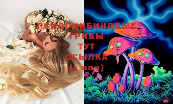 шишки Горно-Алтайск