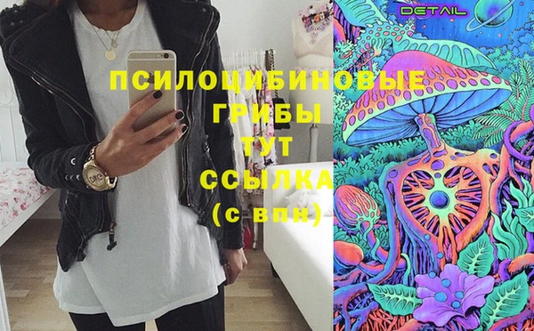 шишки Горно-Алтайск