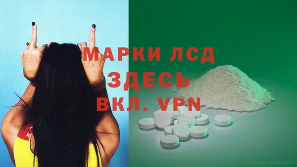 шишки Горно-Алтайск