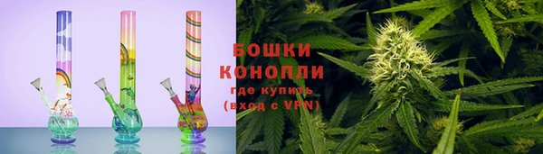 шишки Горно-Алтайск