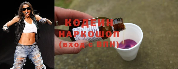 шишки Горно-Алтайск
