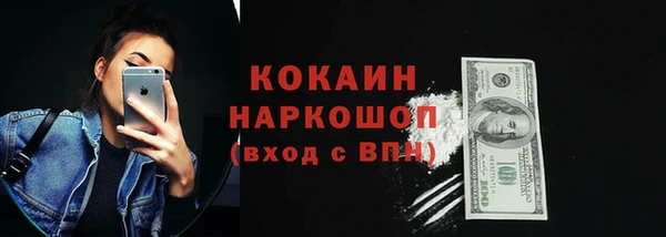 шишки Горно-Алтайск