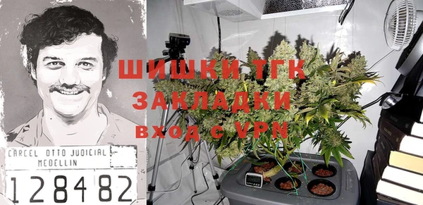 шишки Горно-Алтайск