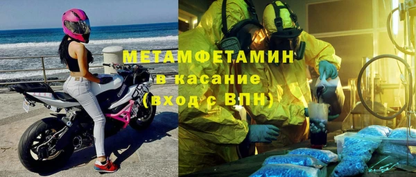шишки Горно-Алтайск