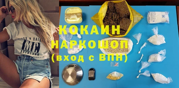 шишки Горно-Алтайск