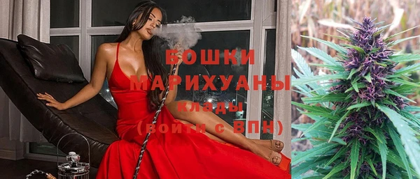 шишки Горно-Алтайск