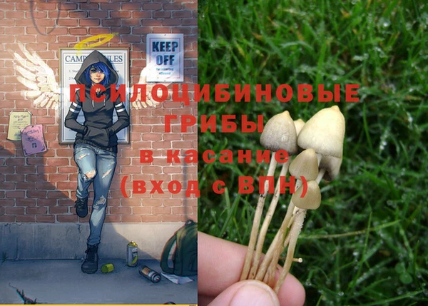 mix Горняк