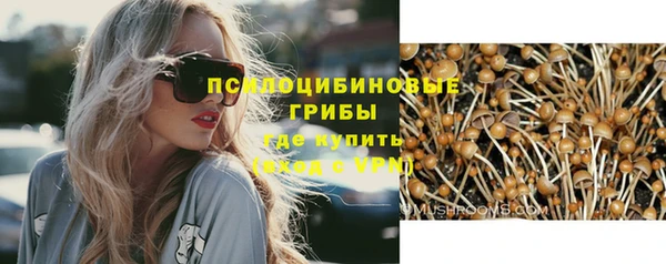 mix Горняк