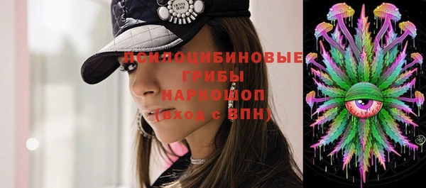 mix Горняк