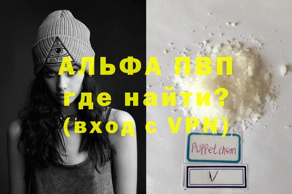 шишки Горно-Алтайск