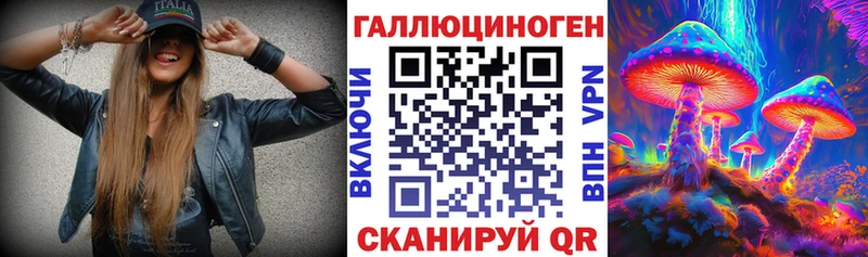 Купить где  Лахденпохья  Псилоцибиновые грибы Psilocybine cubensis 